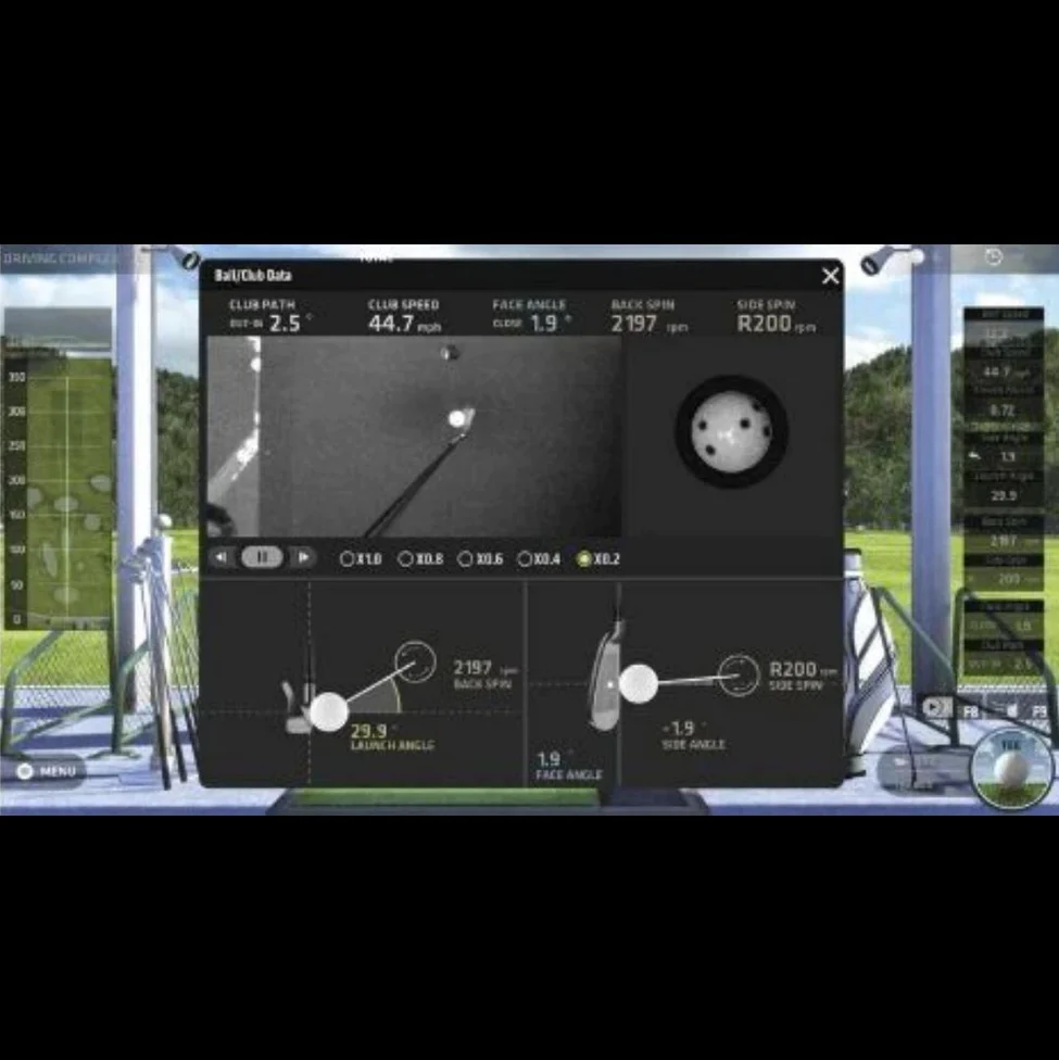 Foresight Falcon Hitting Area